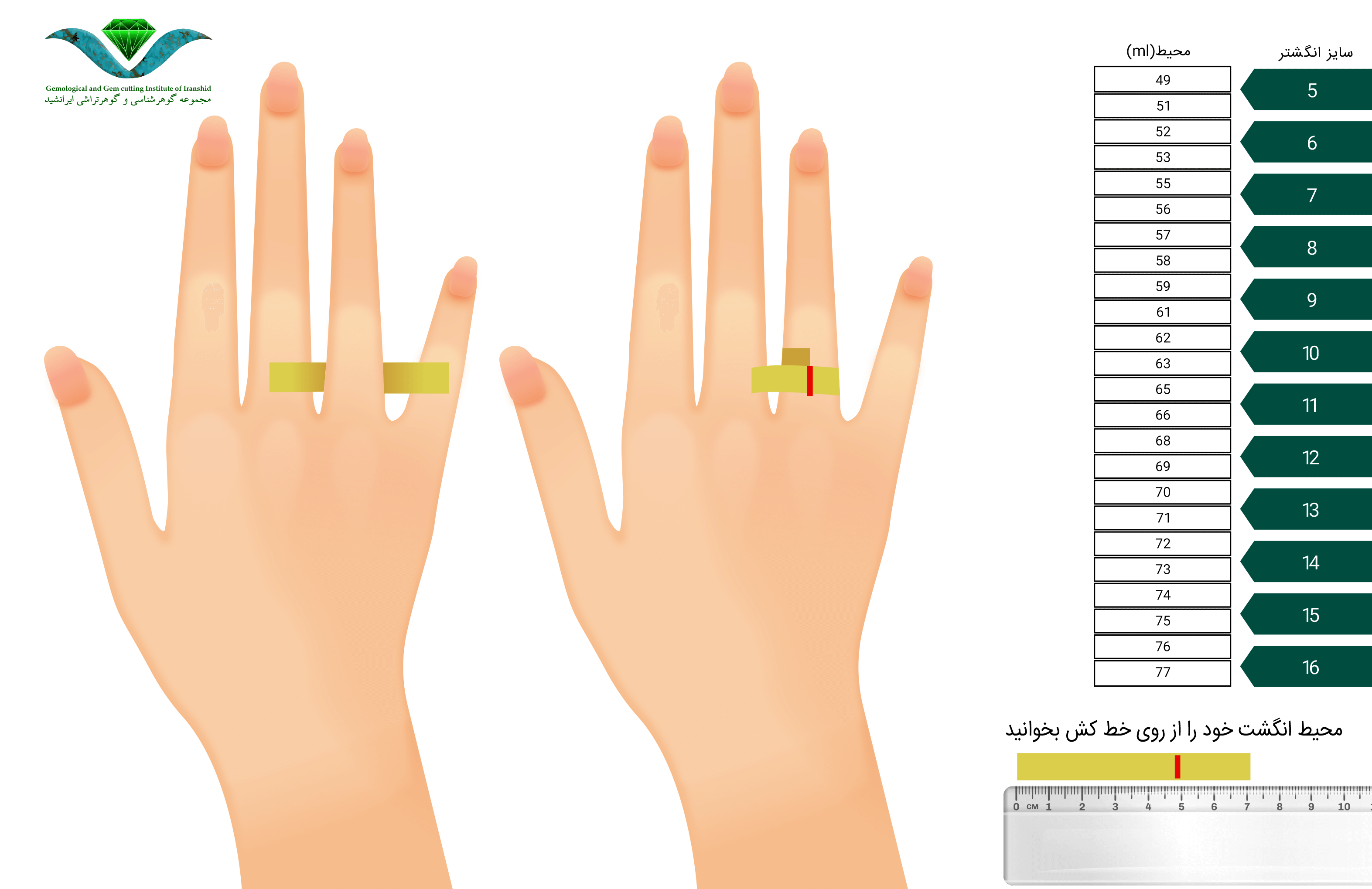 تعیین سایز انگشتر + راهنمای تعیین سایزبندی حلقه و انگشتر زنانه و مردانه